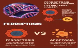 Terapi Kanser Berasaskan Ferroptosis: Harapan Baharu Dalam Dunia Perubatan
