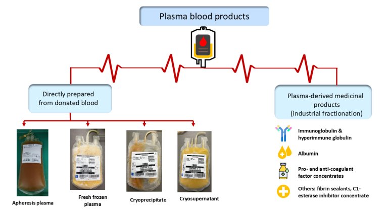 Plasma Products In Transfusion Medicine