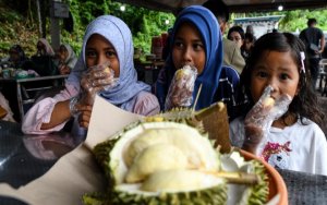 Durian Season: What You Need To Know Before Bingeing