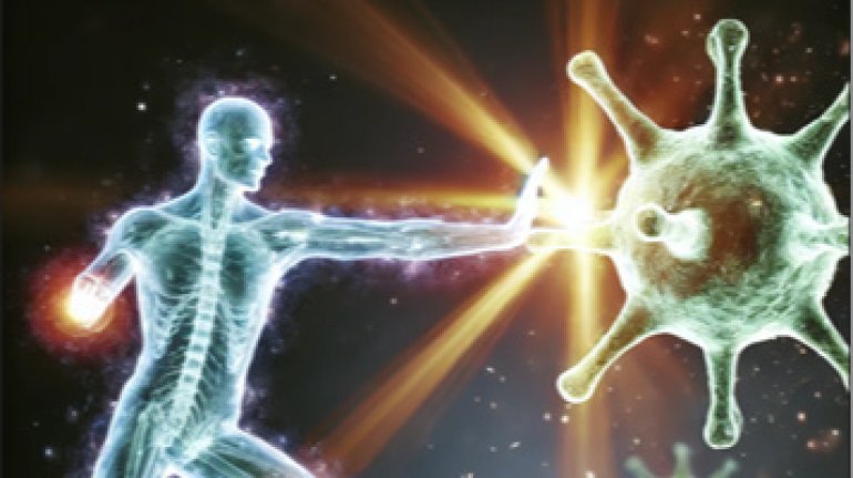 The Wonders Of Our Immune System: Nature’S Remarkable Defense