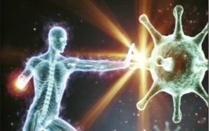 The Wonders Of Our Immune System: Nature’S Remarkable Defense