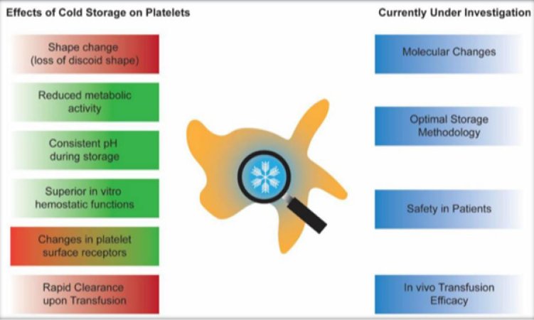 The Comeback Of Cold Storage Platelets. Will IT Gain Momentum?