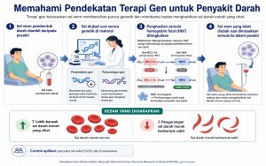 Terapi Gen Untuk Penyakit Darah: Daripada Rawatan Sepanjang Hayat Kepada Potensi Penyembuhan