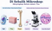 Di Sebalik Mikroskop: Menyingkap Rahsia Dalam Tisu