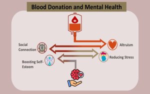 The Surprising Link Between Blood Donation A.D Mental Health