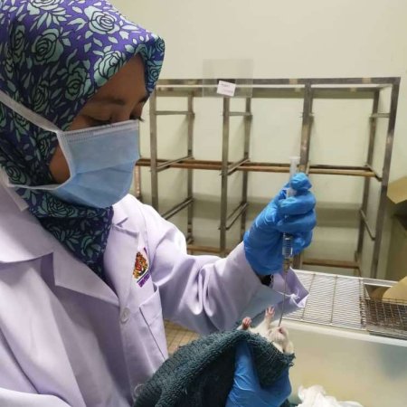 Tualang Honey: Malaysian Research Unlocking Nature’S Neuroprotective Power