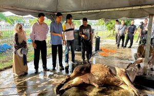 Program Qurban Dan Aqiqah Peringkat IPPT/PPUSMB 2025 Disambut Dengan Jayanya