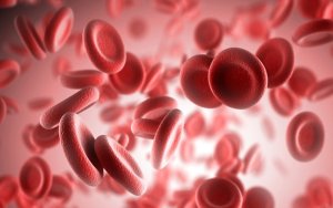 Thalassemia Through Time: The Cure Is Here, Prevention Remains Key