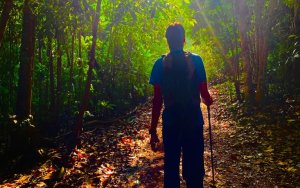 Hiking In Malaysia: Embrace Nature A.D Enhance Your Muscle Fitness
