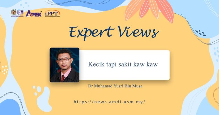 Kecik Tapi Sakit Kaw Kaw