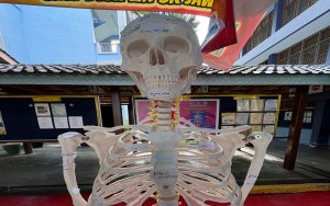 STEM WEEK 2025: Building Strong Bones A.D Bright Minds At SK Jawi