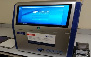 Azure 600 Now In CRL, IPPT!