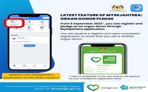 Organ Donation In Malaysia: A Gift Of Life