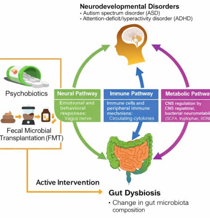 Innovations & Developments In Paediatric Nutritional Psychiatry: An Inspirational PHD Journey Exploring Novel Therapeutic Avenues For ADHD ((PHD Candidate In AMDI/ Nutritional Psychiatry)