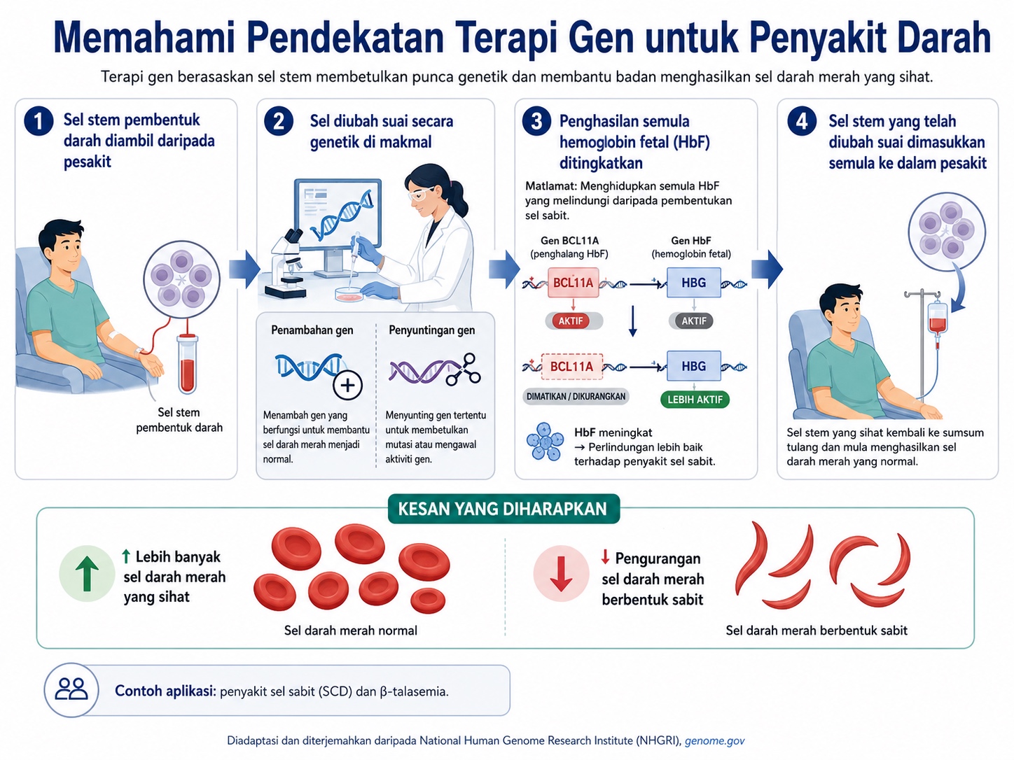 Terapi Gen Untuk Penyakit Darah: Daripada Rawatan Sepanjang Hayat Kepada Potensi Penyembuhan